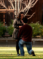 Mark and Anna- proposal