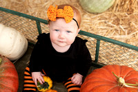 Emma pumpkin  mini